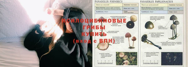 мет Беломорск