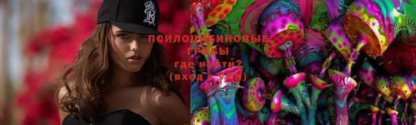гидра Белокуриха