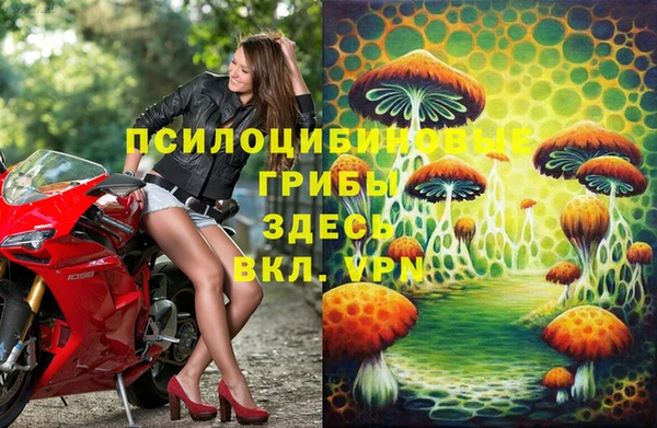 гидра Белокуриха