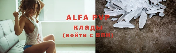 гидра Белокуриха