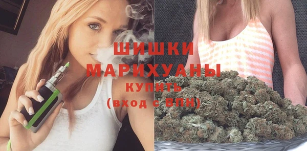 гидра Белокуриха