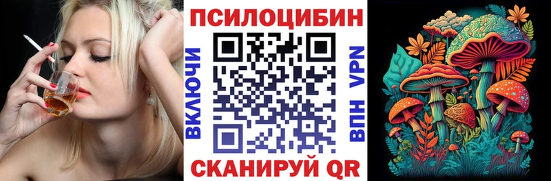где можно купить наркотик  Ворсма  Псилоцибиновые грибы Psilocybine cubensis 